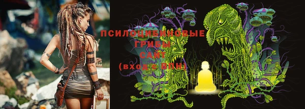 стафф Абдулино