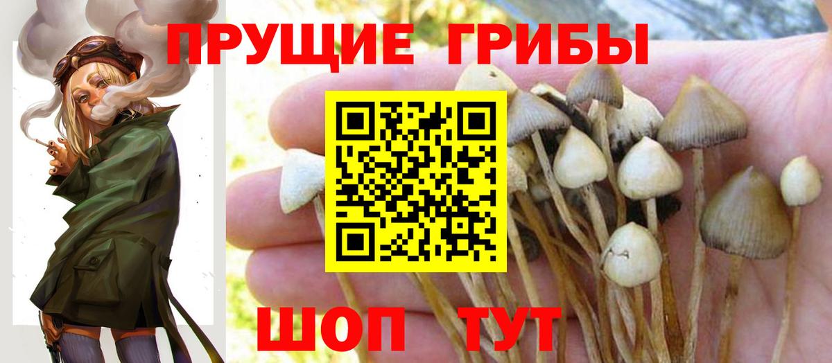 Галлюциногенные грибы MAGIC MUSHROOMS  Галлюциногенные грибы мухоморы  купить закладку  Вход с VPN  Алапаевск 